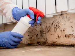  Sibley, IA Mold Prevention & Removal Pros